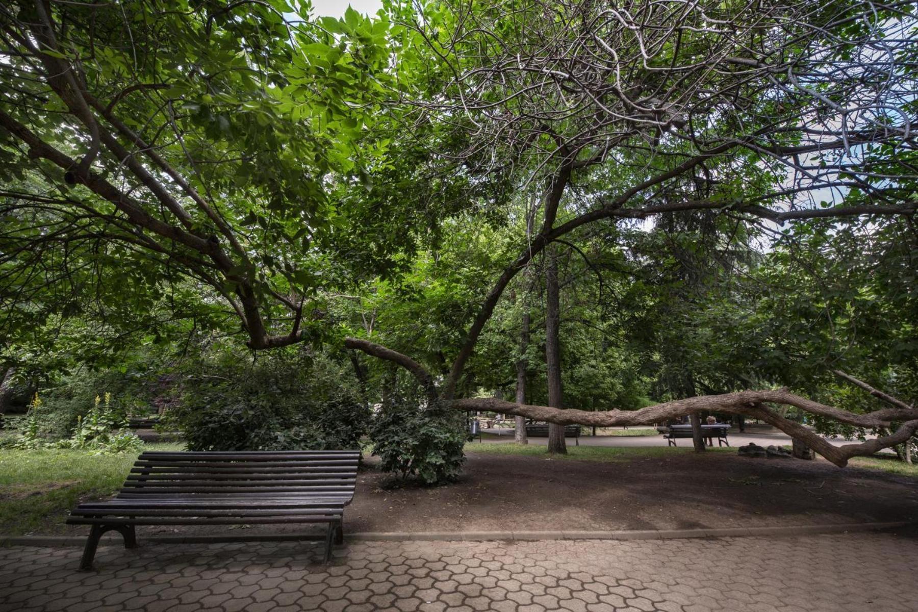 Rainforest Studio Downtown By Pretty Apartments Бухарест Екстер'єр фото